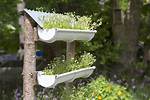 Gutter Garden