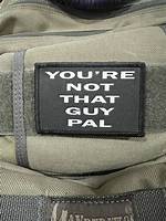 Guy Pal