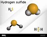 H2S Acid
