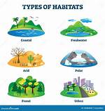 Habitat Examples