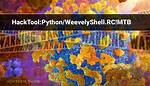 Hacktool: Python/Weevelyshell. Rc! Mtb — Python Weevely Shell