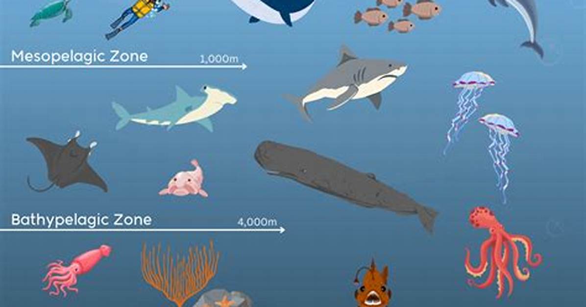 Hadal Zone Animals