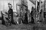Haida Tribe
