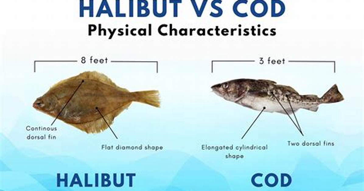 Halibut vs Cod
