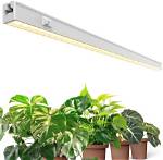 Halogen Light for Plants