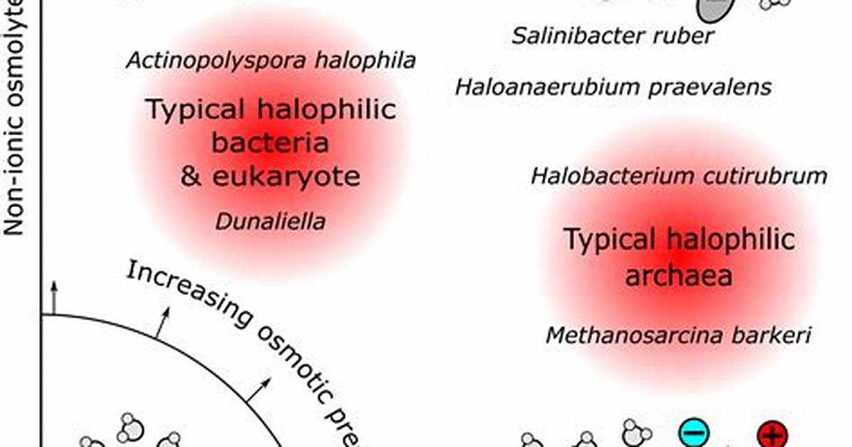 Halophiles