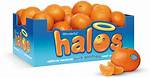 Halos Oranges