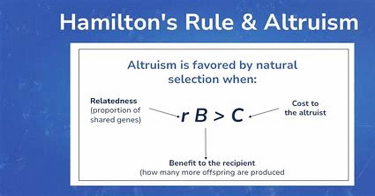 Hamiltons Rule