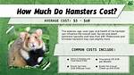 Hamster Cost