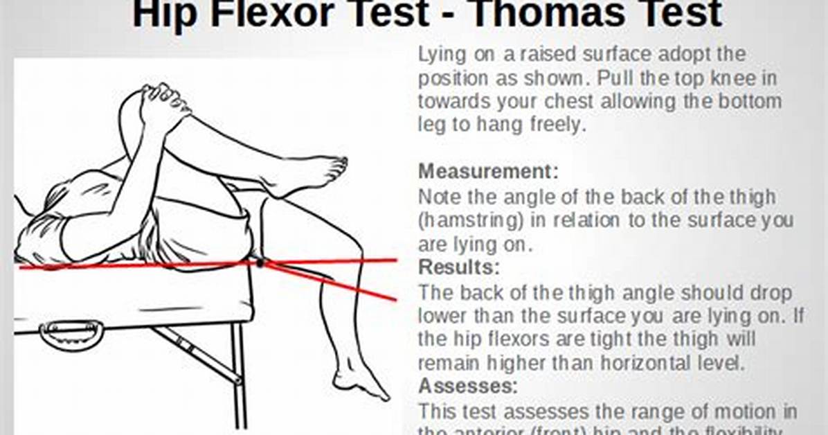 Hamstring and Hip Flexor Test