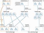 Haplodiploidy