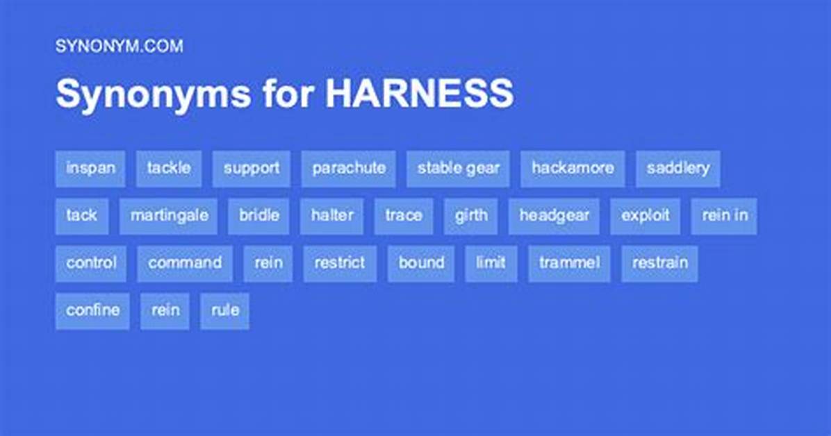 Harness Synonym