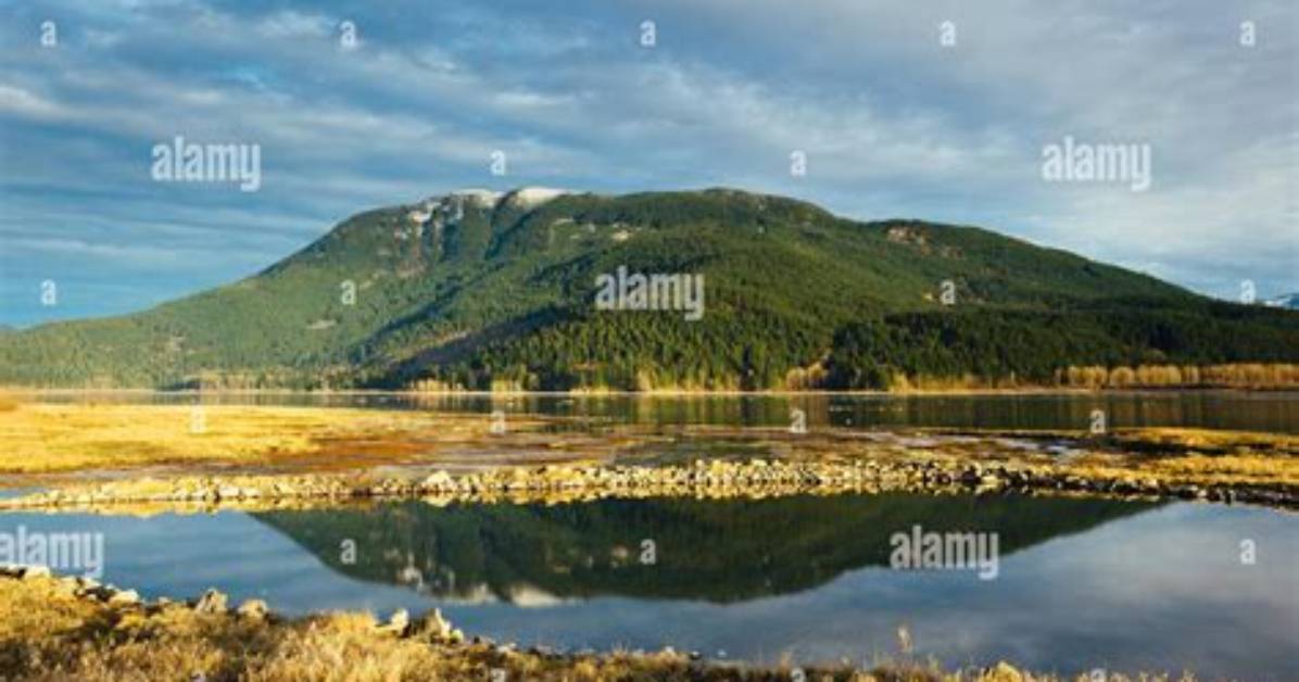 Harrison Mills