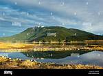 Harrison Mills