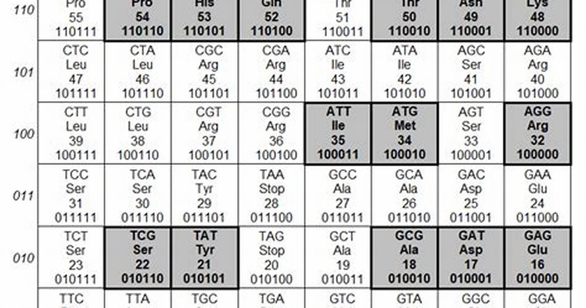 Has 64 Codons That Code for Amino Acids?