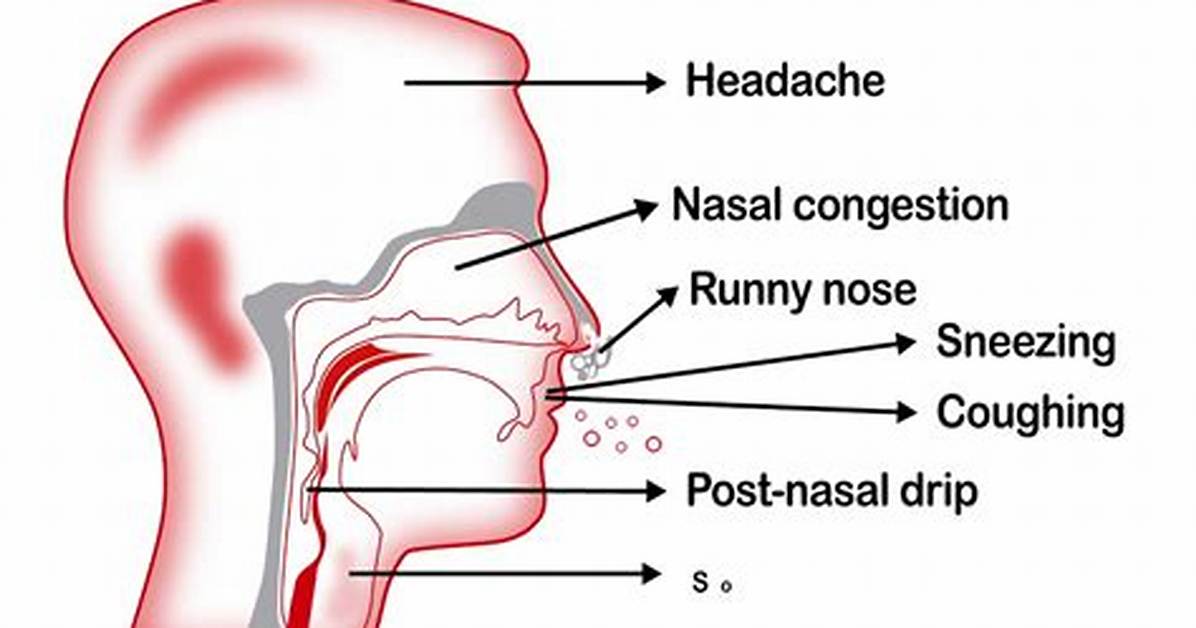Has a Congested Nose?