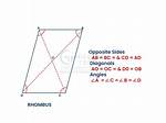 Has a Rhombus Got Parallel Lines?