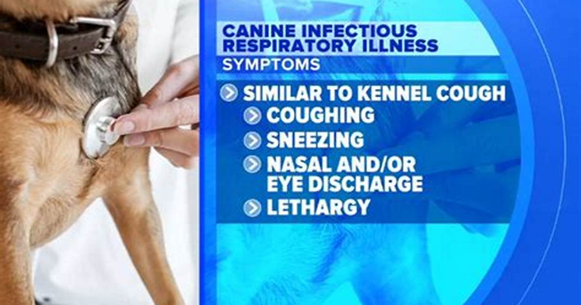 Has a Sickness