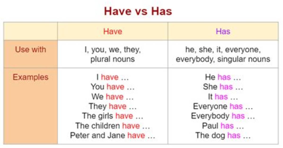 Has and Have Usage?
