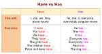 Has and Have Usage?