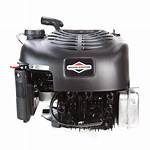 Has Briggs and Stratton Engine?
