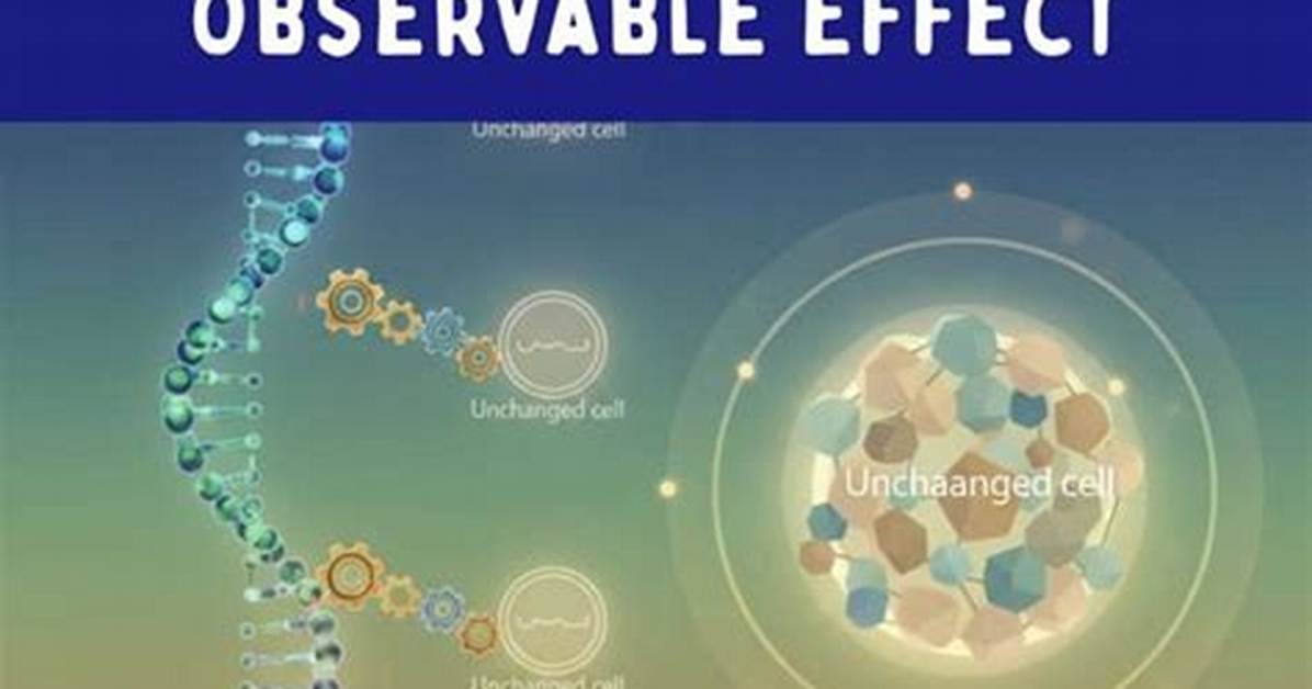 Has No Observable Effect?