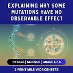 Has No Observable Effect?