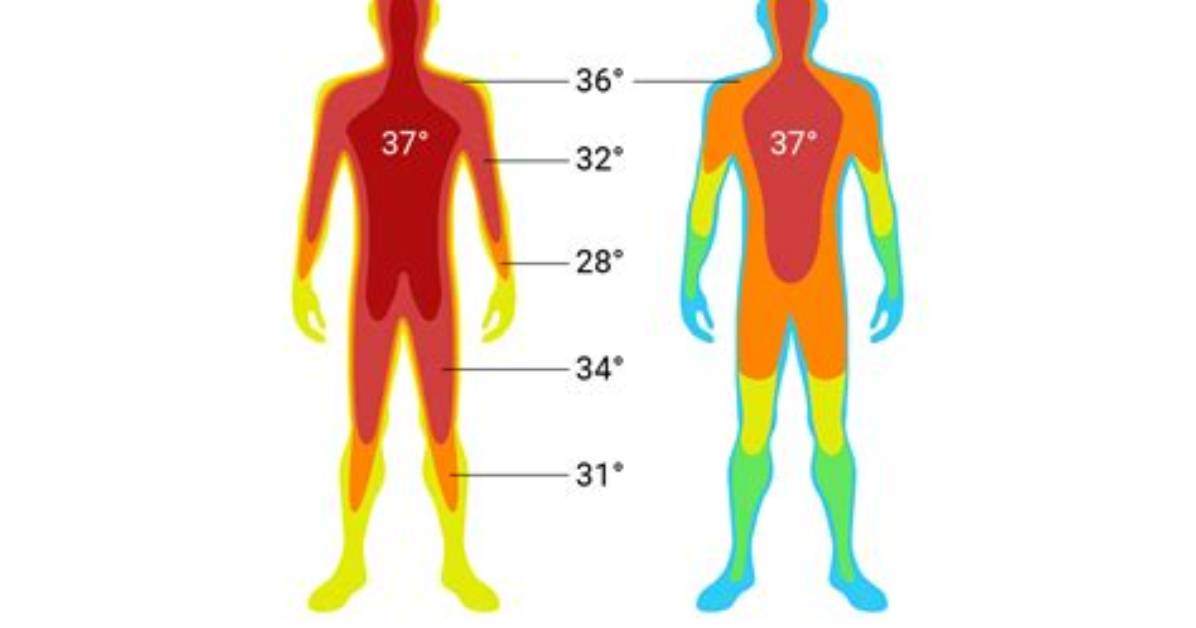 Has Normal Body Temperature Changed?