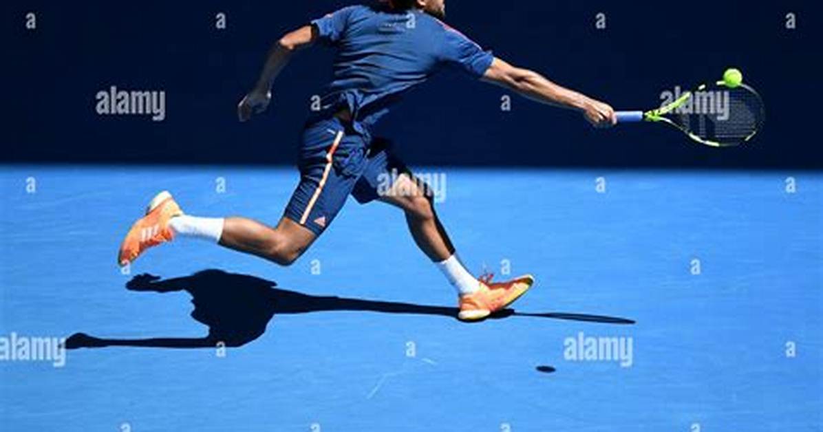Has Tsonga Won a Grand Slam?