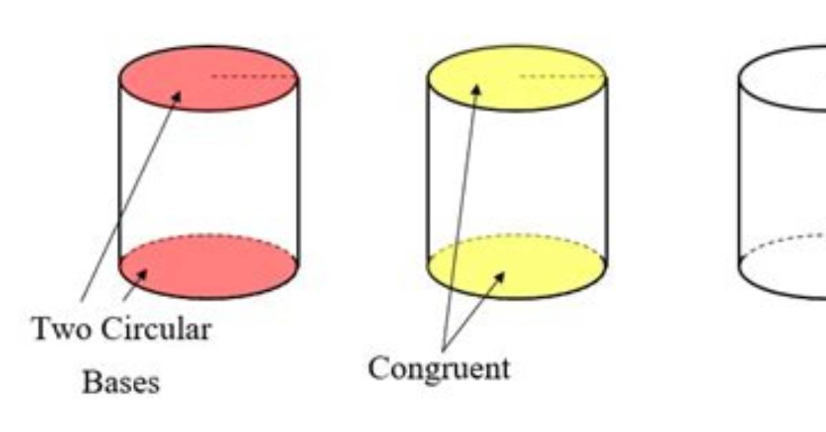 Has Two Circular Bases?