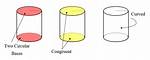 Has Two Circular Bases?