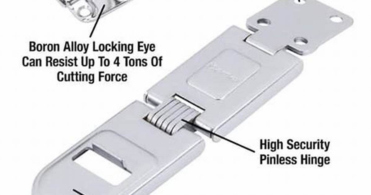 Hasp Definition