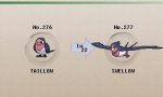 Hat Level Does Taillow Evolve? Check It out – When Does Taillow Evolve