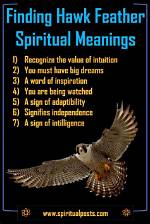 Hawk Feather Meaning
