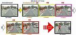 Hazards Perception Test
