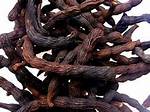 Health Benefits and Side Effects of Negro Pepper
