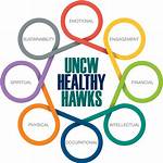 Healthy Hawks