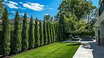 Hedge Tree
