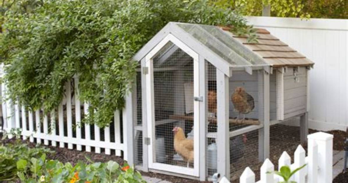 Henhouse