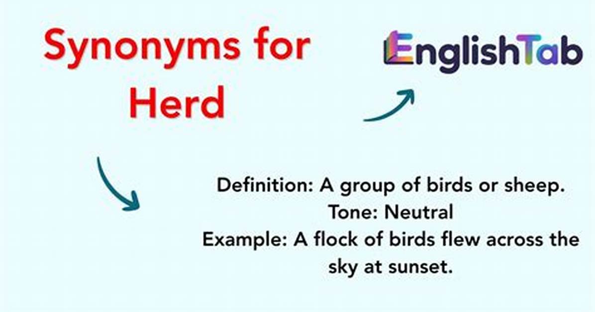 Herd Synonym