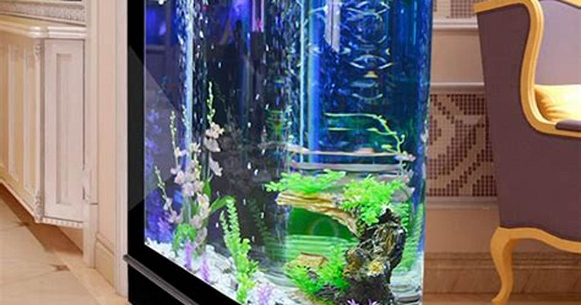Here Is How Much the Fish Tanks on the Tv Show “Tanked” Cost