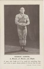 Hermann Gorner