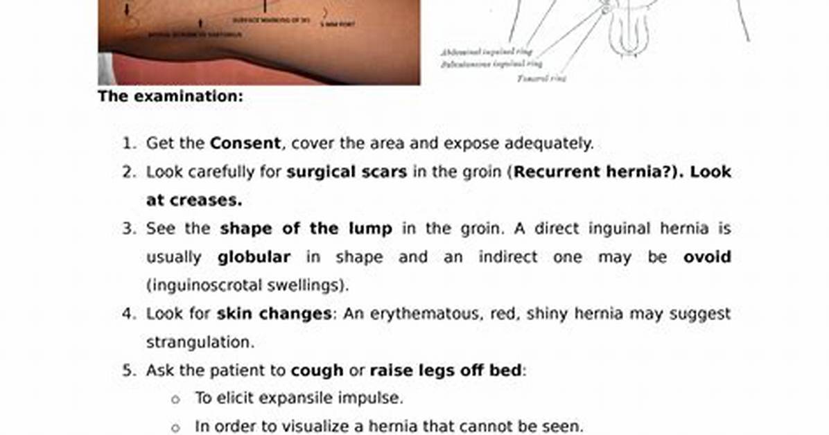 Hernia Exam