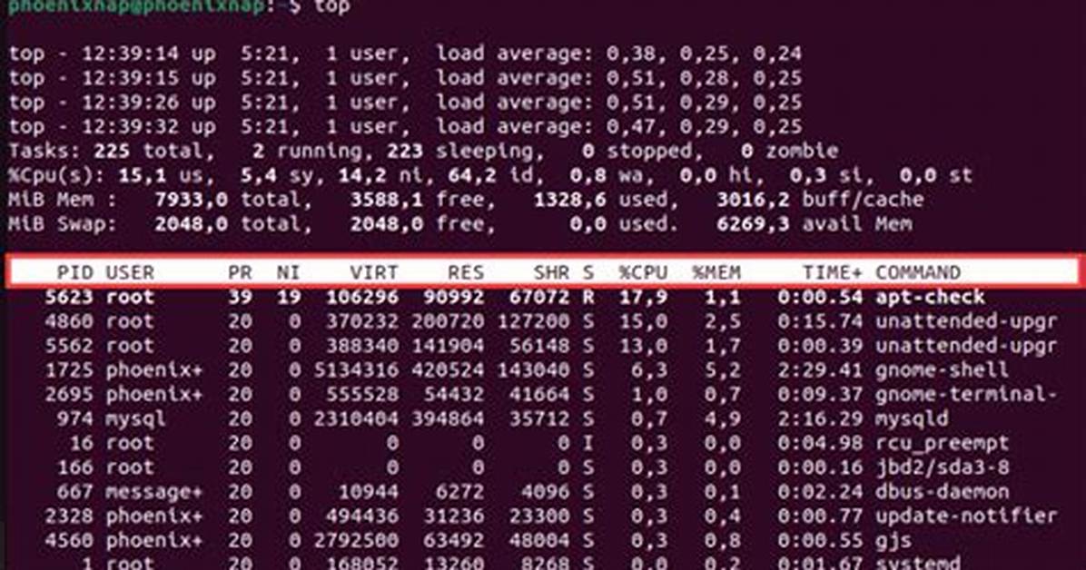 High Cpu Usage on Linux