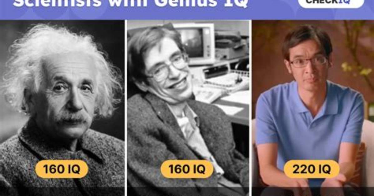 High-Iq Group