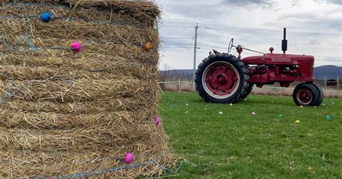 High Lawn Farm Easter Celebration (Lee) 🐣