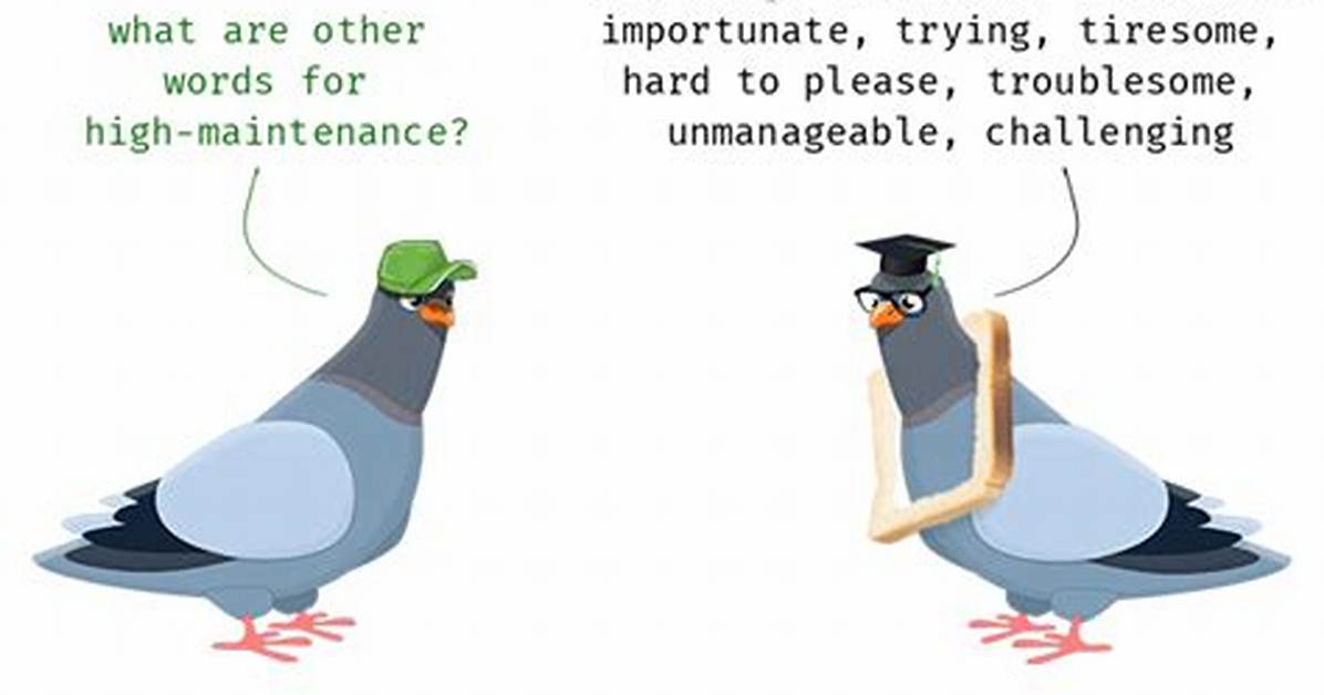 High Maintenance Synonym