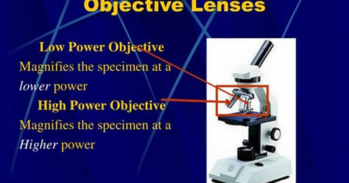 High Power Objective Microscope Function