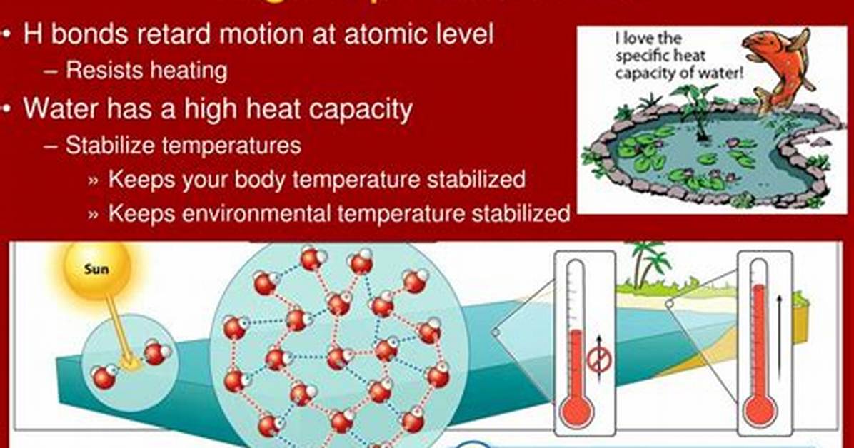 High Specific Heat