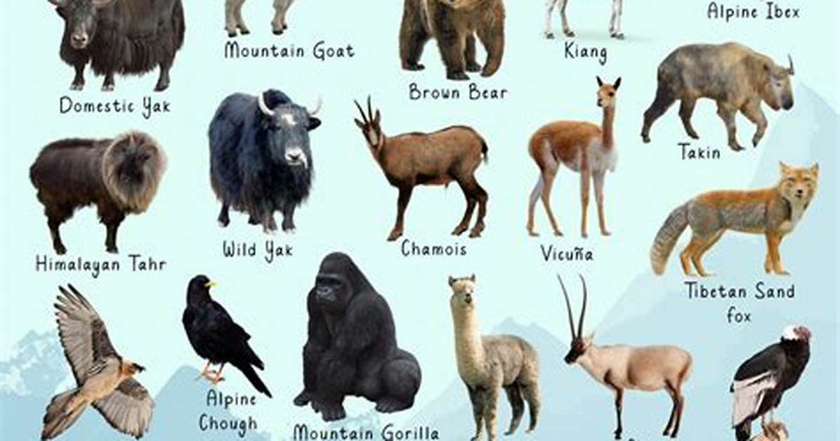 Himalayan Pack Animals